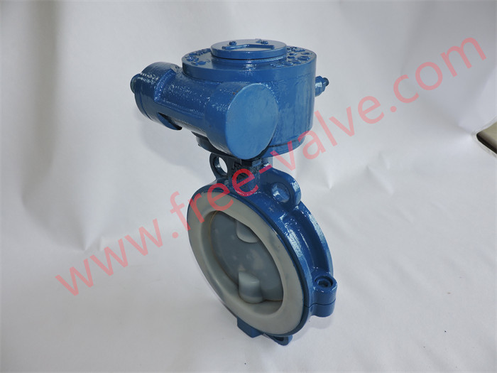 Fully PTFE Lined Butterfly Valves