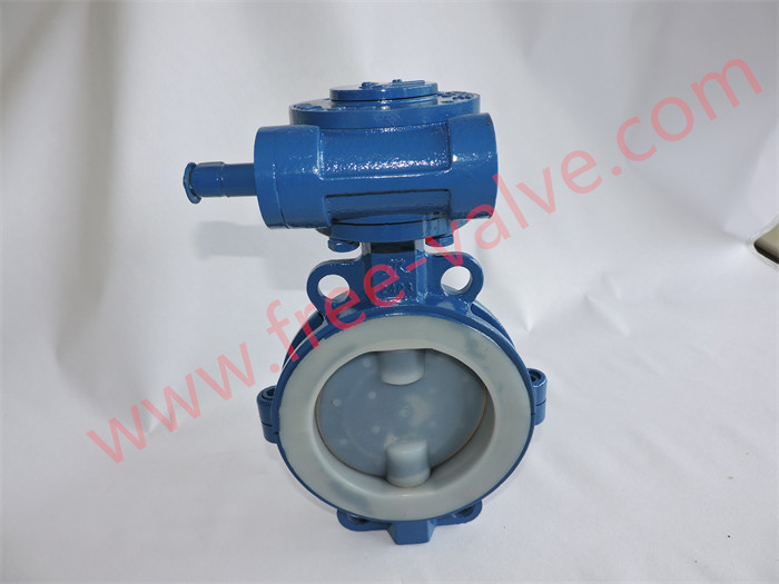 Fully PTFE Lined Butterfly Valves