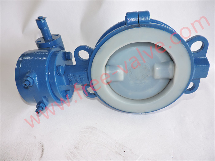 Fully Fluorine lined PTFE butterfly valve