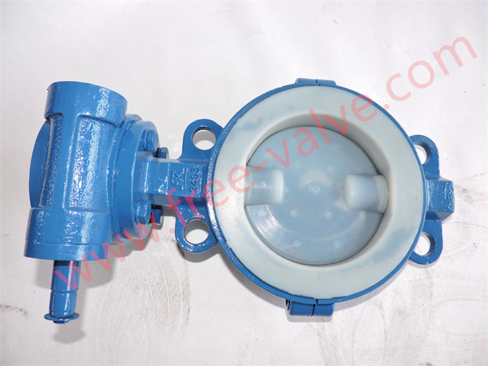 Fully Fluorine lined PTFE butterfly valve